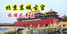 无毛干逼中国北京-东城古宫旅游风景区
